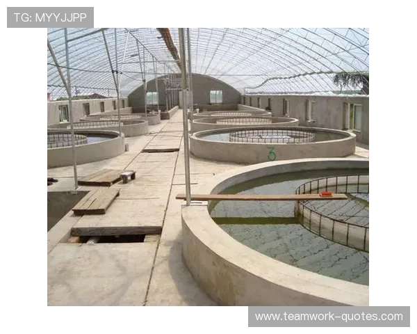 优德体育官网注册流程详解帮助新手玩家快速顺利完成账号注册