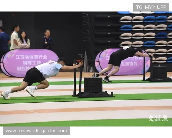 探索体育与娱乐的完美结合，B体育手机娱乐引领行业创新发展