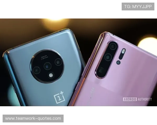 米兰手机登录功能全面优化，提升用户安全性和操作便捷性成为焦点