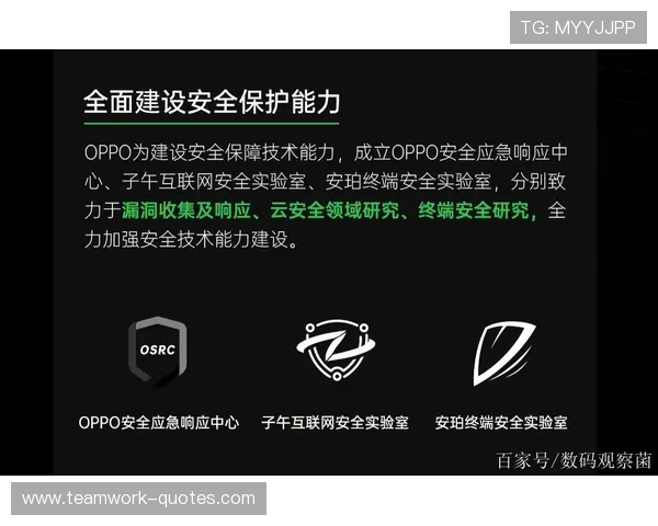 B体育手机版APP的安全隐私保护措施与用户信息安全保障方案