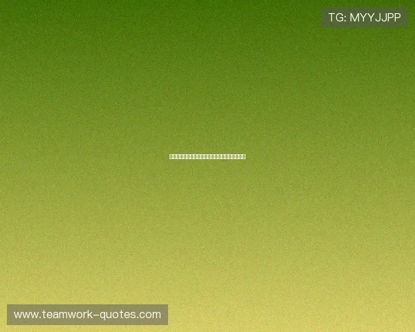 荷兰对瑞典比赛赛后详细数据分析与关键表现回顾